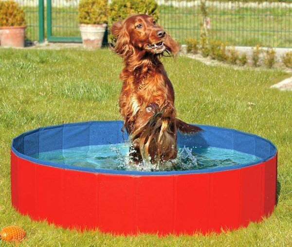 DOGGY POOL der Swimmingpool für Hunde - Rot-Blau