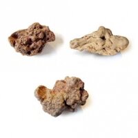 Torgas Kauwurzel für Hunde – natürlicher...