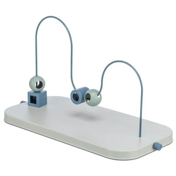 Dog Activity Skills Loop