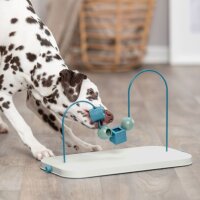 Dog Activity Skills Loop