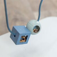 Dog Activity Skills Loop