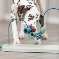 Dog Activity Skills Loop