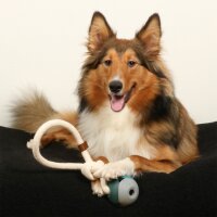 Hundespielzeug Nora - lagoon