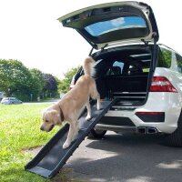 Autohunderampe Gentle Step