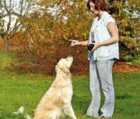 Apportier Dummy Hundespielzeug 14 cm – Hunde Training & Apportieren