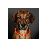 Visio Light LED-Leuchtschlauch mit USB - Orange