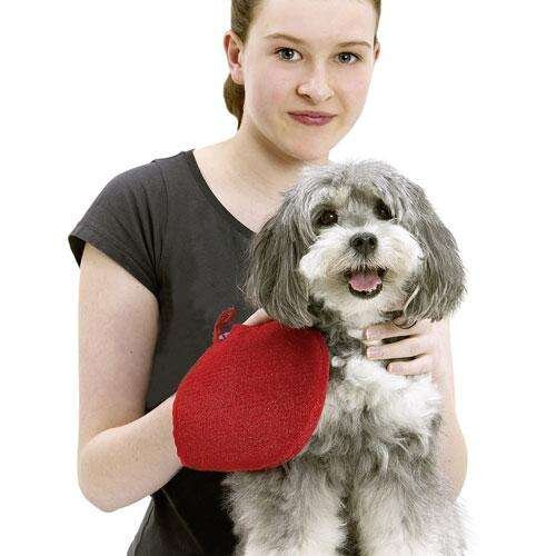 Perfect Care Brush & Clean Pflegehandschuh