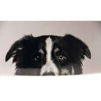 Hundenapf aus Keramik Creme