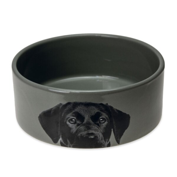 Hundenapf aus Keramik Grau