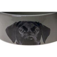 Hundenapf aus Keramik Grau